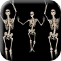 icon Belly Dancing Skeleton Live Wallpaper