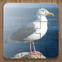 icon Bird Puzzle Games