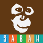 icon Go Sabah для Fly Stratus 8