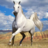 icon Horse Jigsaw Puzzles 2.14.00