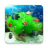 icon Aquarium 5.1