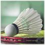 icon Badminton