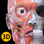 icon Anatomy 3D Atlas для Sony Xperia XZ