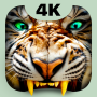 icon Roaring Tiger Live Wallpaper