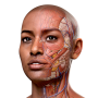 icon Complete Anatomy 2024 для swipe Elite VR