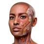 icon Complete Anatomy 2024 для Inoi 6