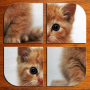 icon Baby Animals Puzzle