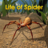 icon Life Of Spider 1.1.1