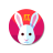 icon Fast Rabbit VPN 1.2