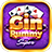 icon Gin Rummy Super 0.4.71