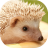 icon Hedgehogs live wallpaper 4.3