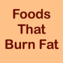 icon Foods That Burn Fat