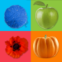 icon Learning Colors for Kids для Leagoo M9 Pro
