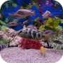 icon Aquarium Video Wallpaper для Meizu M6