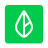 icon Branch 2025.1.0