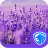 icon Lavender 1.2