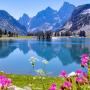 icon Nature HD Pictures для vivo Y83
