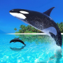 icon Whale Live Wallpaper