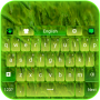 icon Green Nature Keyboard