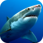icon Sharks Live Wallpaper для Lava Z25